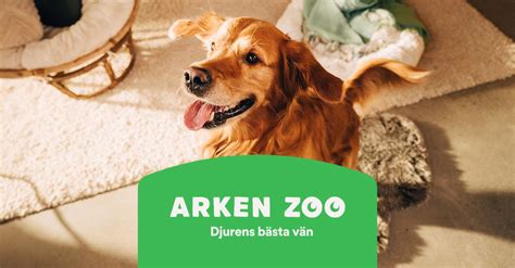 Kattsandsmatta arken zoo